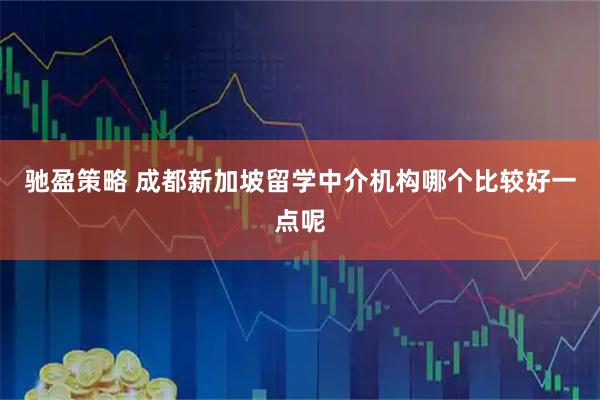 驰盈策略 成都新加坡留学中介机构哪个比较好一点呢