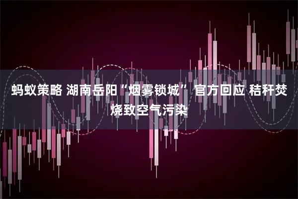 蚂蚁策略 湖南岳阳“烟雾锁城” 官方回应 秸秆焚烧致空气污染