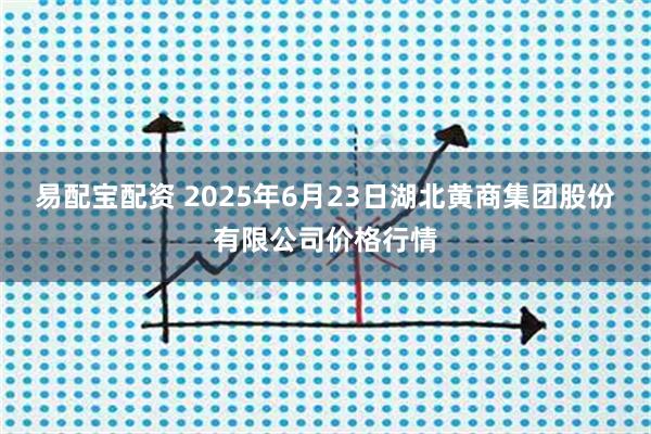 易配宝配资 2025年6月23日湖北黄商集团股份有限公司价格行情