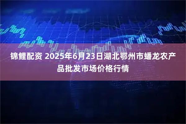 锦鲤配资 2025年6月23日湖北鄂州市蟠龙农产品批发市场价格行情