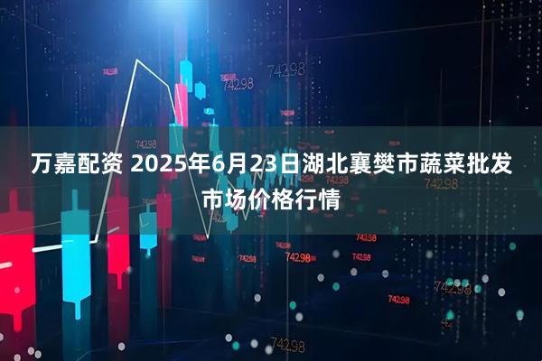 万嘉配资 2025年6月23日湖北襄樊市蔬菜批发市场价格行情