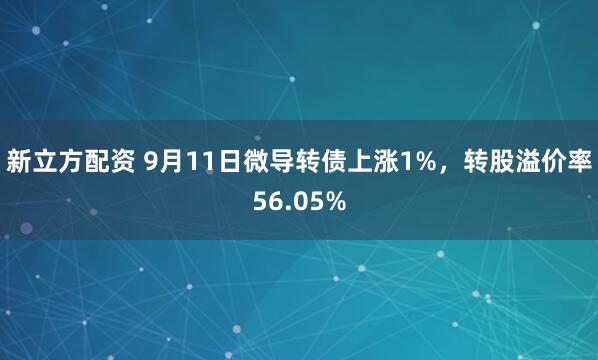 新立方配资 9月11日微导转债上涨1%，转股溢价率56.05%