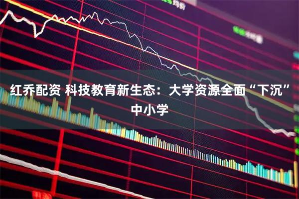 红乔配资 科技教育新生态：大学资源全面“下沉”中小学