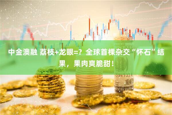 中金澳融 荔枝+龙眼=？全球首棵杂交“怀石”结果，果肉爽脆甜！
